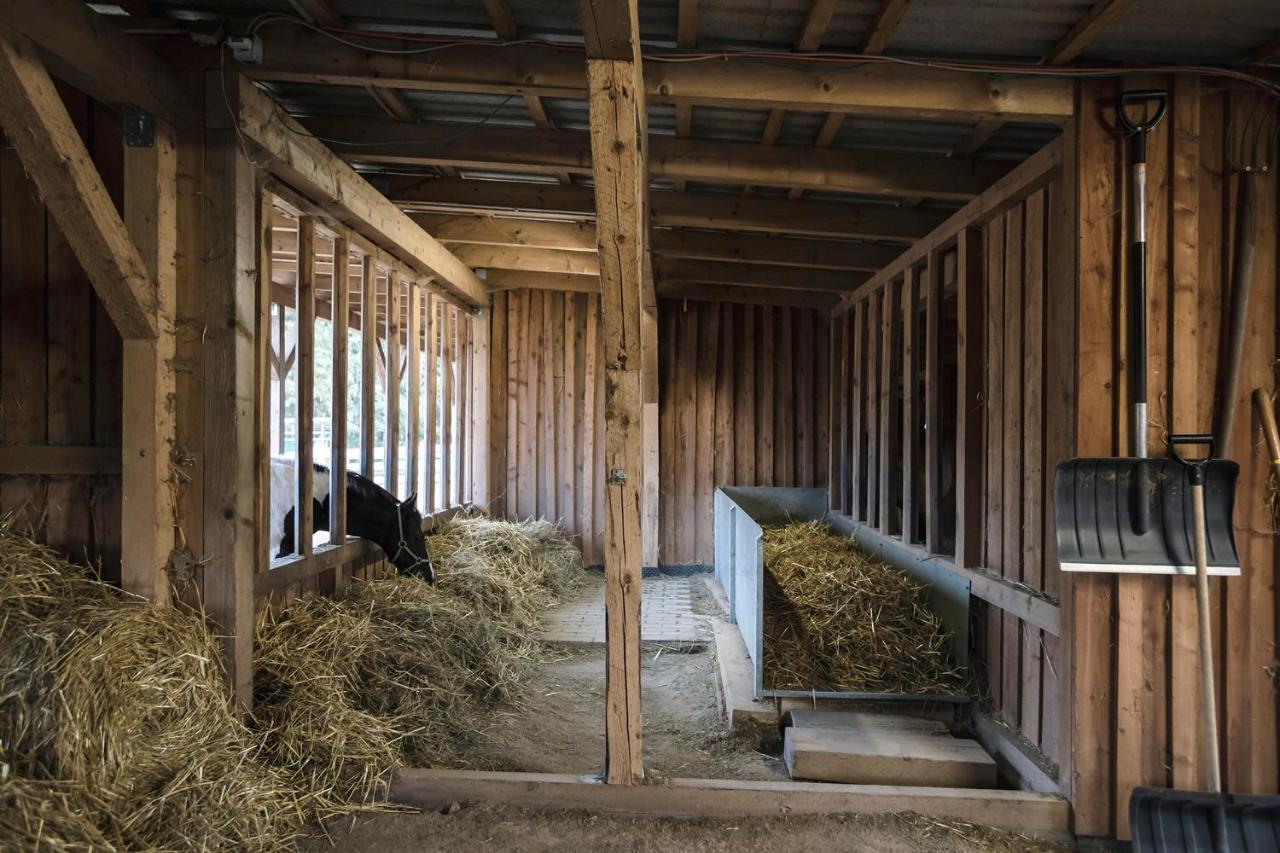 Ranchhouse Bubble - Westernstable - Horse Elterlein المظهر الخارجي الصورة