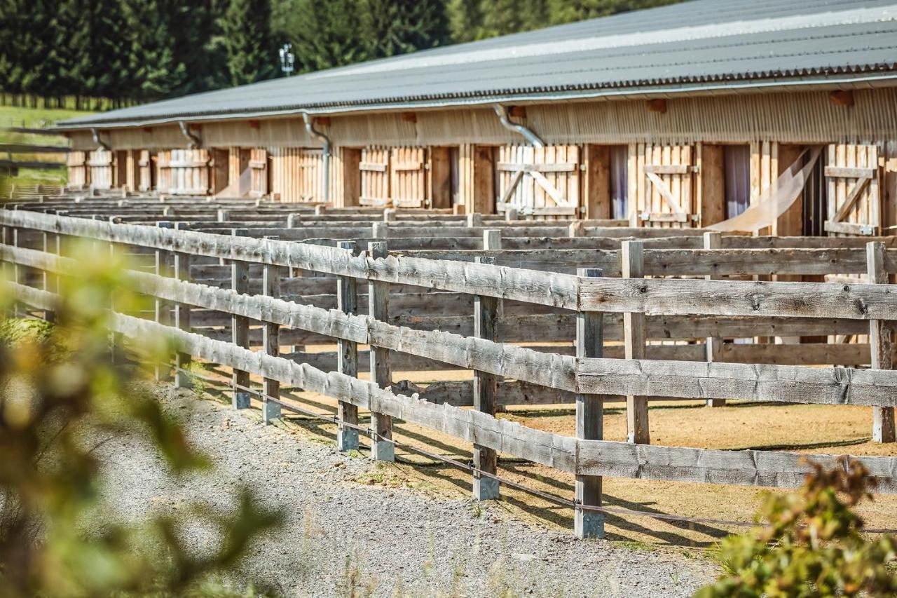 Ranchhouse Bubble - Westernstable - Horse Elterlein المظهر الخارجي الصورة