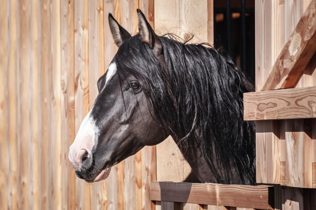 Ranchhouse Bubble - Westernstable - Horse Elterlein المظهر الخارجي الصورة